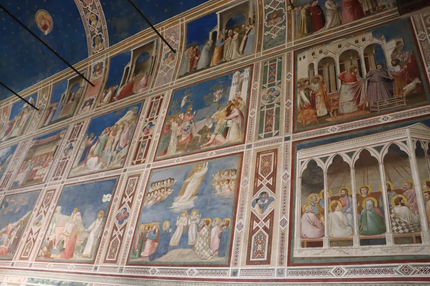 Giotto's painted scenes in rows between decorated bands on a wall of the Scrovegni Chapel, under the blue ceiling