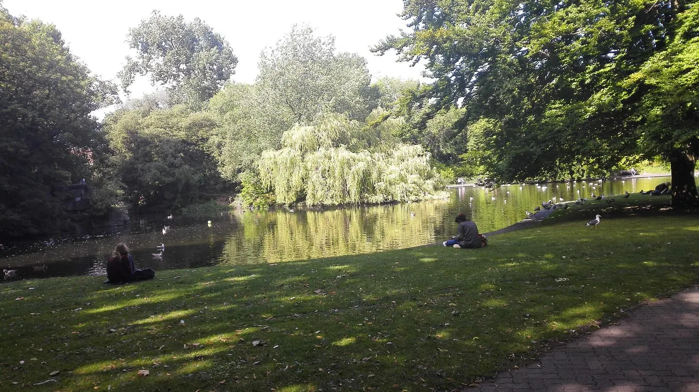 People sitting on the grass beside the lake in St Stephen's Green, with a weeping willow and tall trees across the water