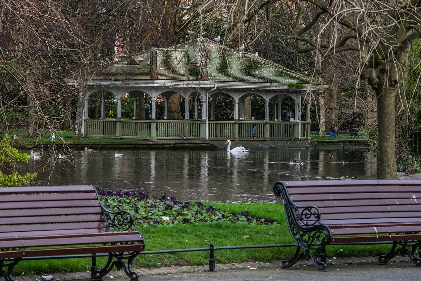 The pond in St Stephen's Green with a swan and ducks, a roofed shelter on the far bank and two benches in front