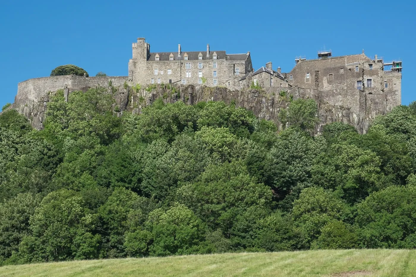 Stirling Castle on its crag above a belt of trees, seen from below