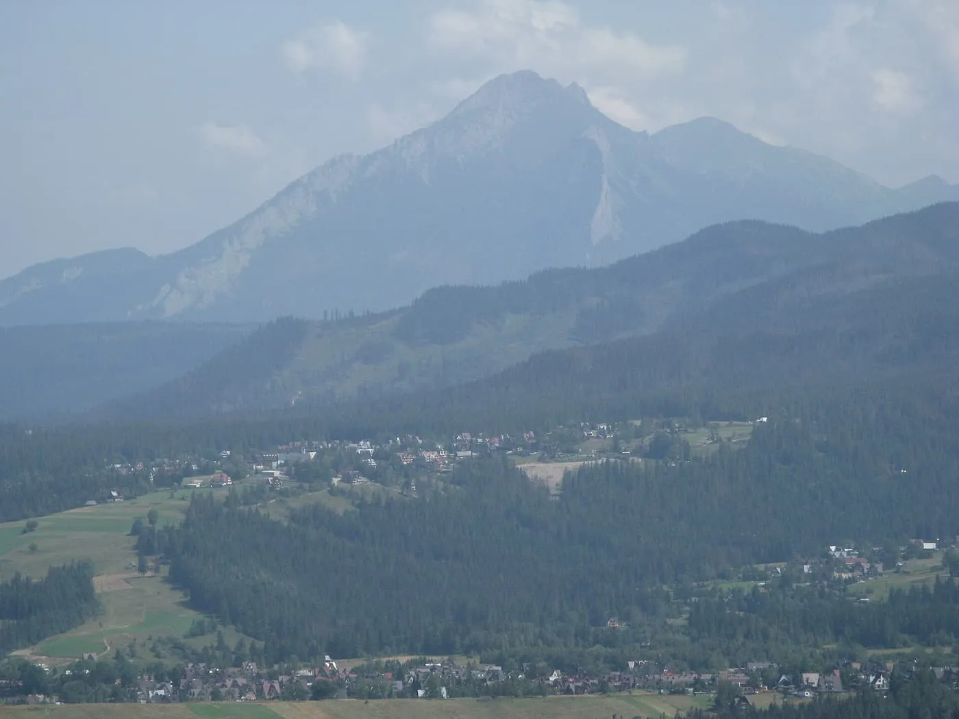 Hazy Tatra ridges beyond the wooded valley of Zakopane, seen from Gubałówka