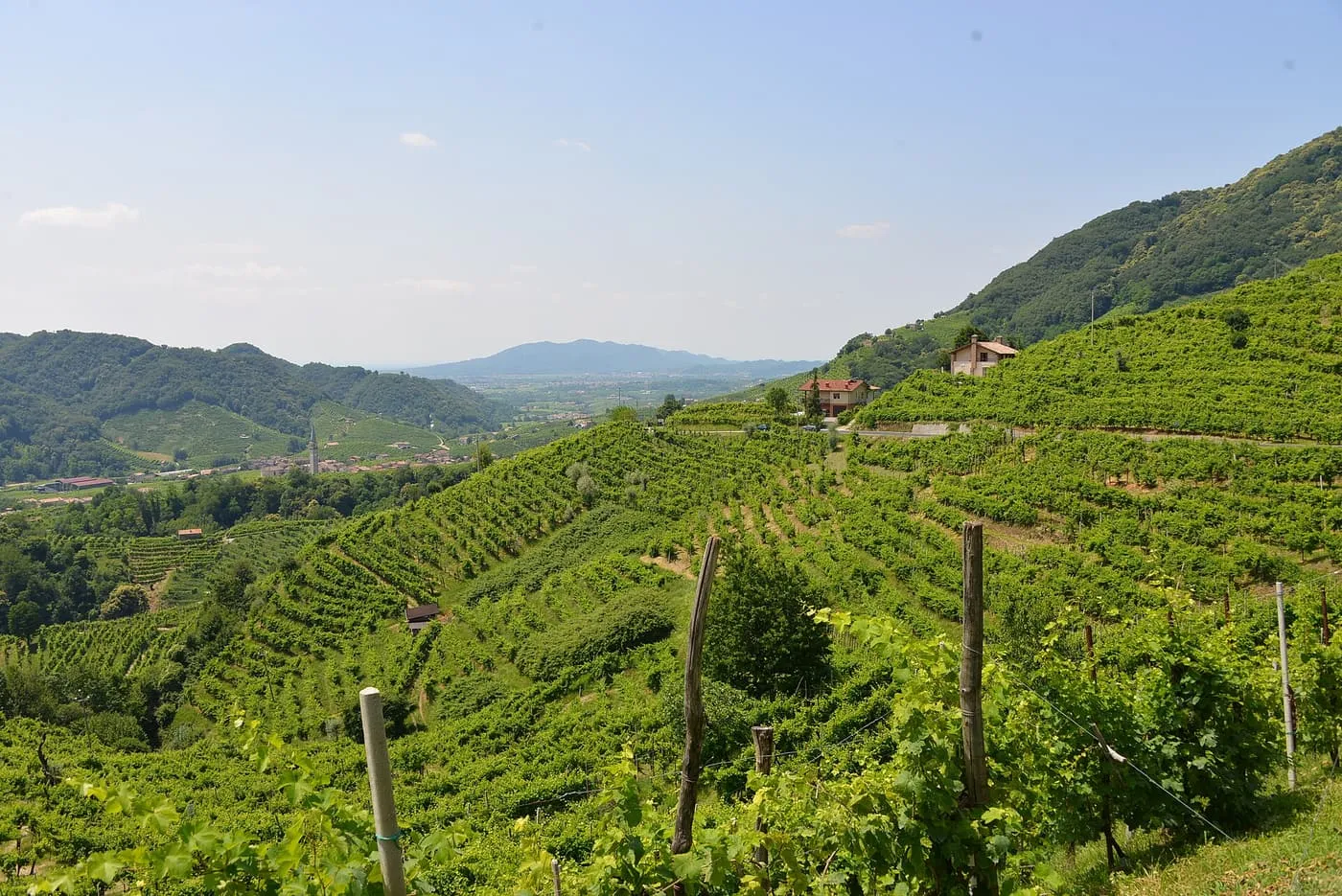 Terraced vineyards on steep green hillsides near Valdobbiadene, with a village and the Veneto plain in the distance