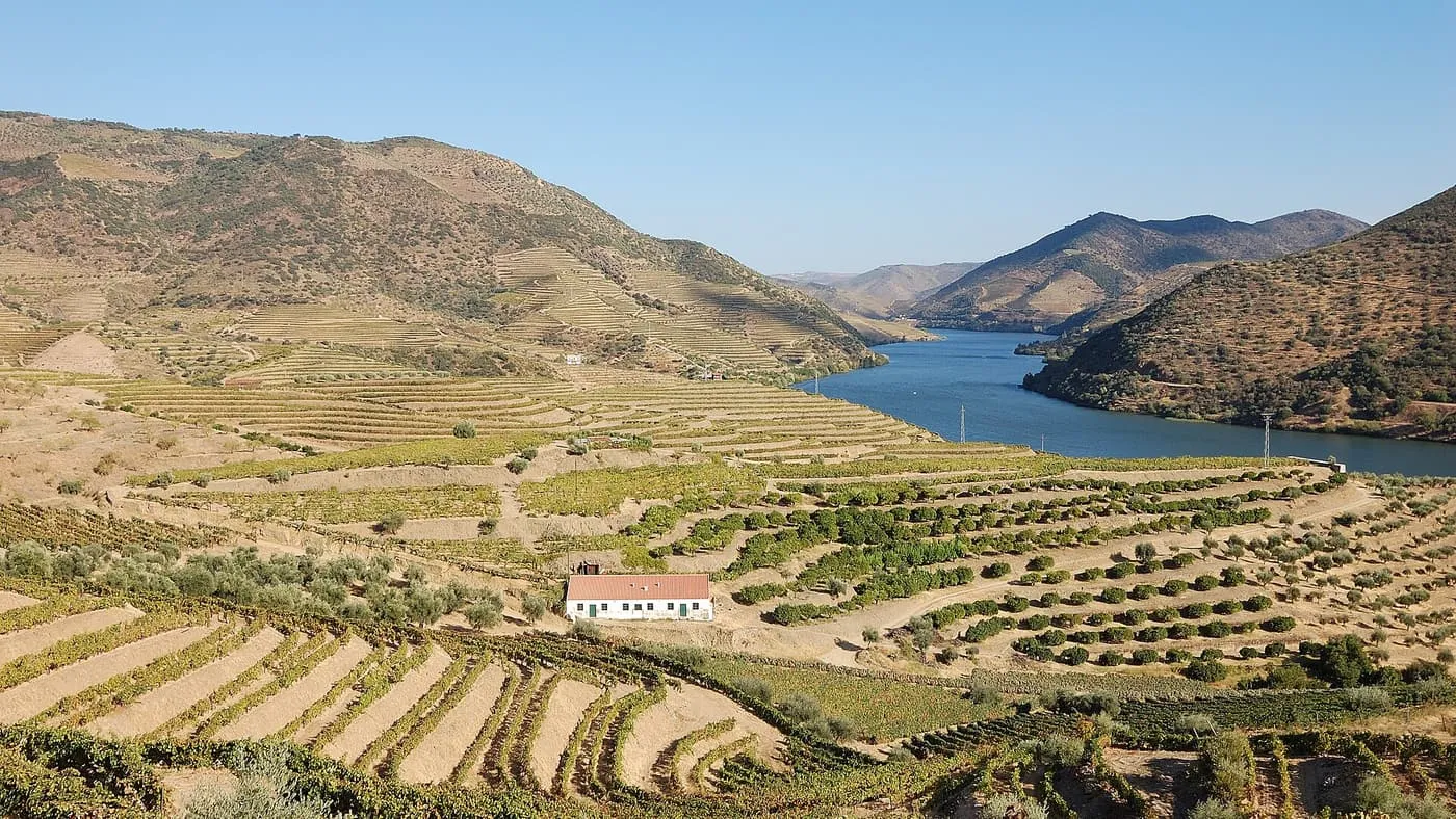 Terraced vineyards climbing the hills above the Douro, with a white farmhouse and the river winding between the hills