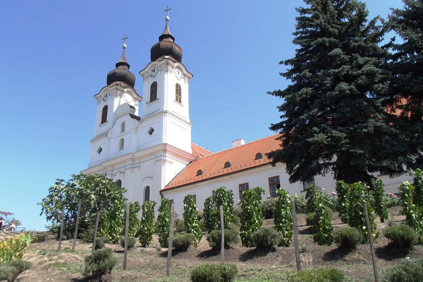 The white twin towers and red roof of Tihany Abbey church above a vine-planted slope