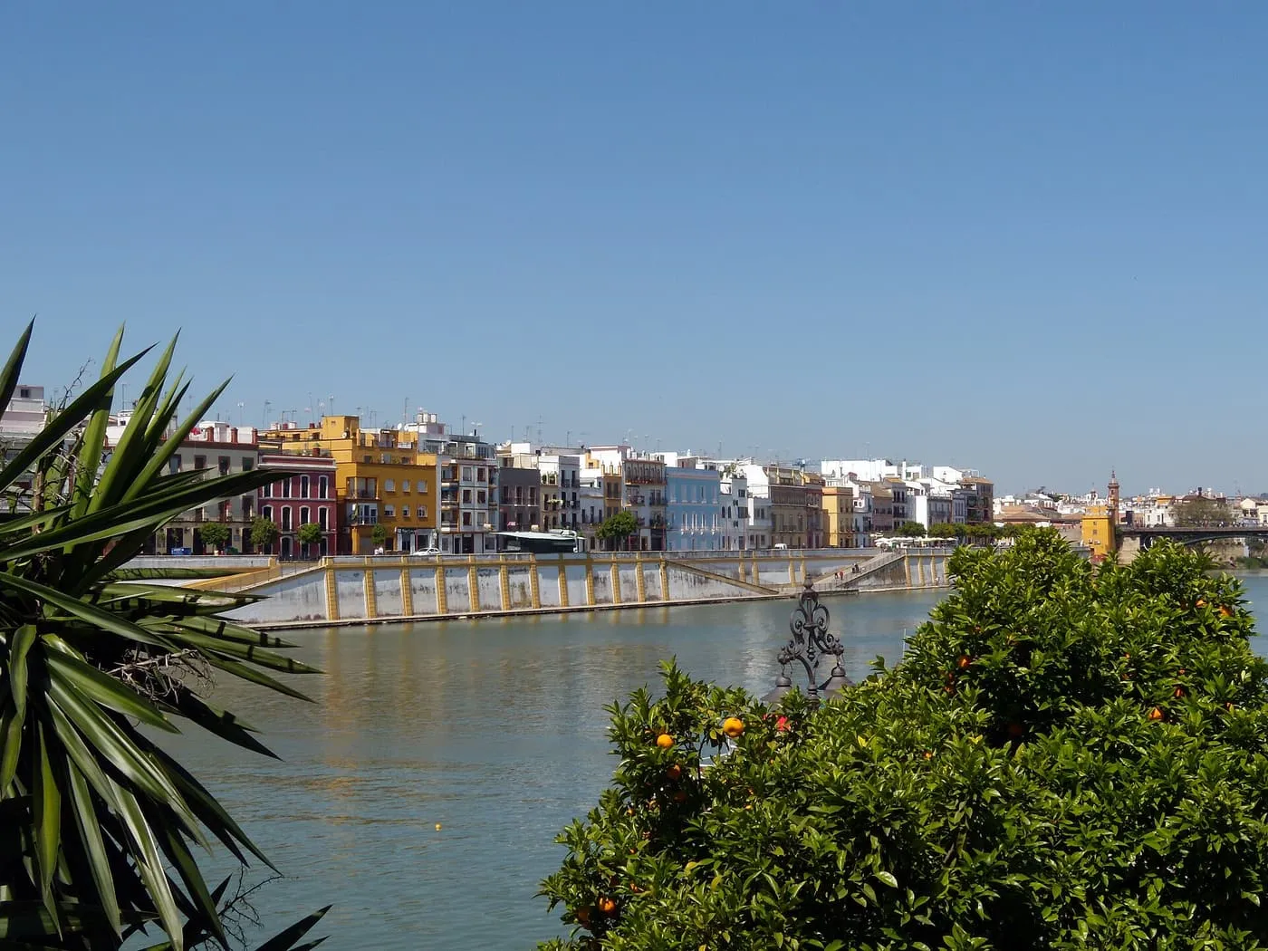 Painted houses along the Triana embankment across the Guadalquivir, with an orange tree and a yucca in the foreground