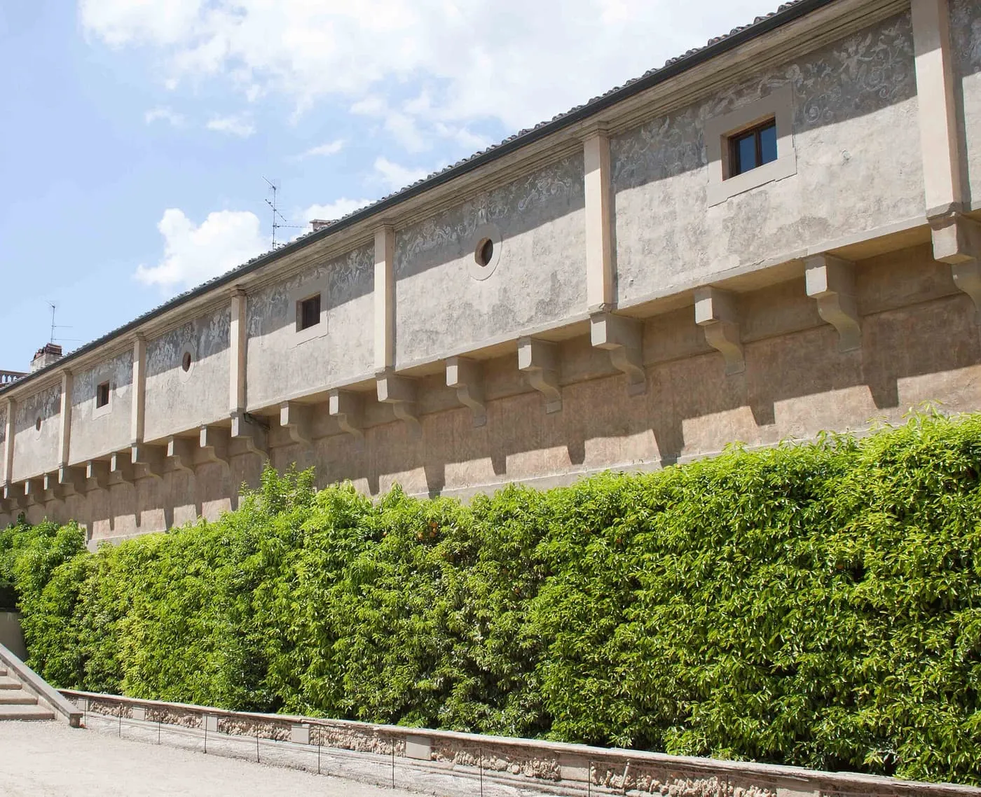 A long pale wall with small windows on stone brackets rising behind a clipped green hedge