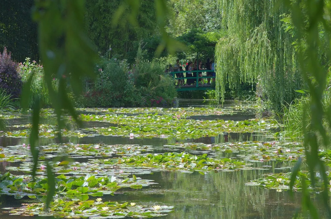 The lily pond in Monet's water garden, with a Japanese bridge behind a weeping willow